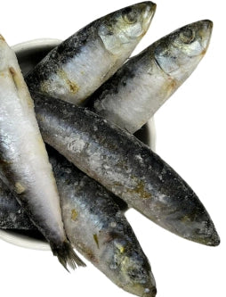 DA - Whole Sardines 1KG